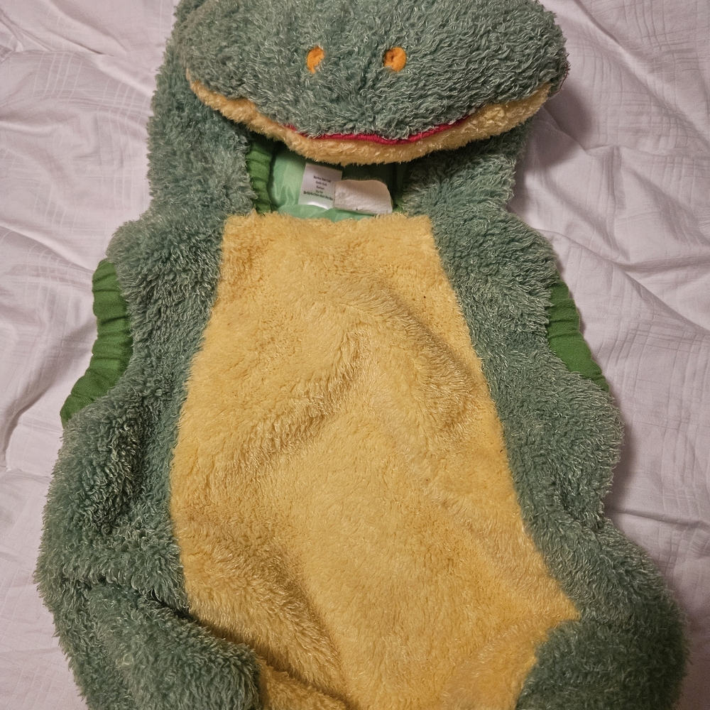Green and Yellow Frog Costume